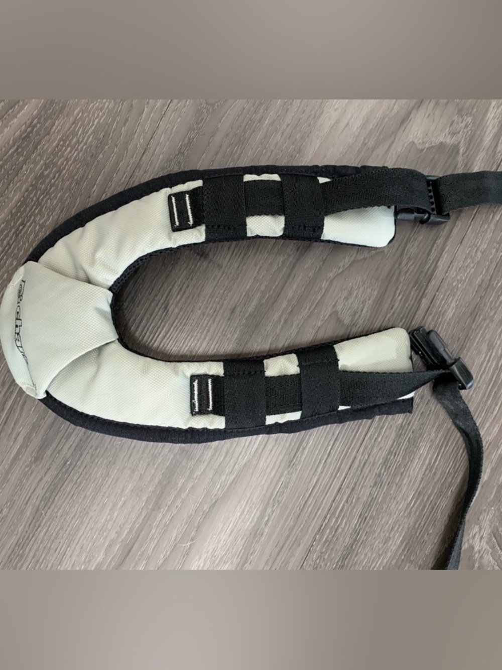 Chariot harness